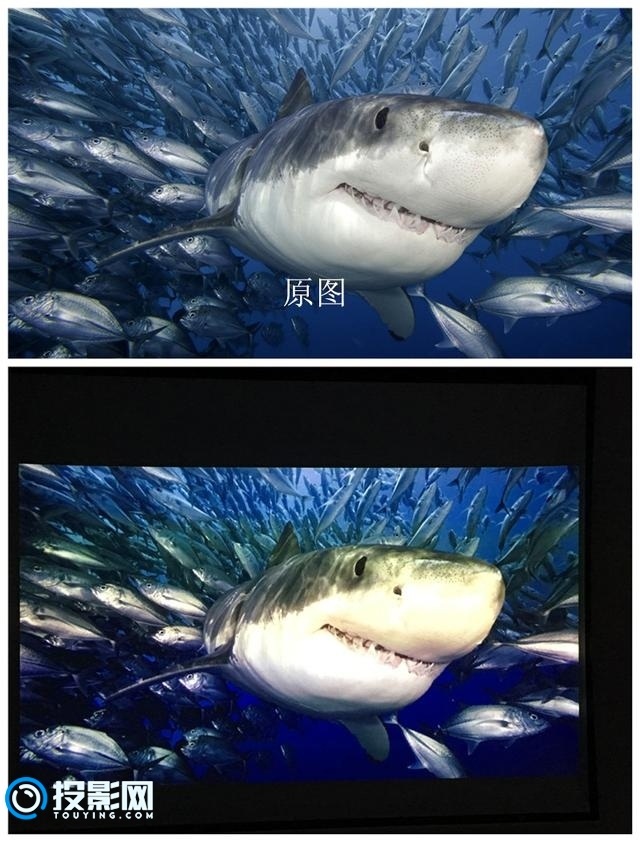 7e00019cb64d8dc956