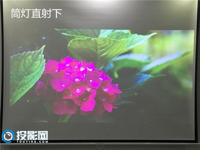 7e00019cbdd1560510