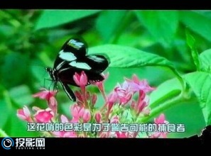 卡西欧XJ-VC270使用体验，简单大方设计操作简单