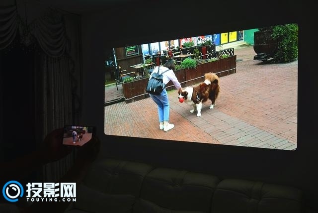 15314504904086eed80d5ec