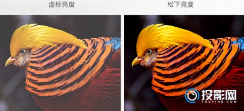 松下PT-WX4201投影仪怎么样,一文分析参数配置如何