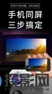 狼群T1图片
