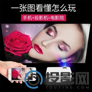 狼群T1图片