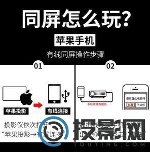 狼群T1图片