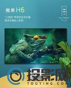 坚果微果H6图片