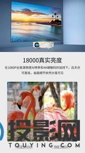 奥普达Z6S图片