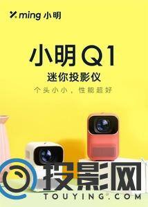 小明Q1图片